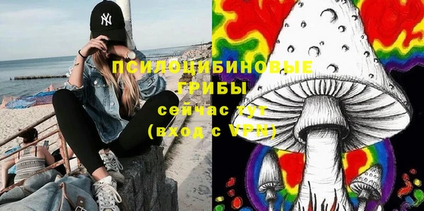 гашик Абдулино
