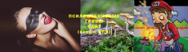 гашик Абдулино