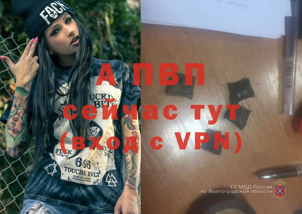 гашик Абдулино