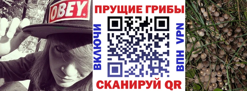Галлюциногенные грибы Cubensis  Иноземцево 